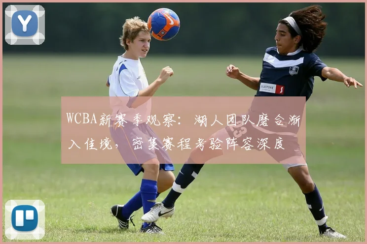 WCBA新赛季观察:湖人团队磨合渐入佳境,密集赛程考验阵容深度
